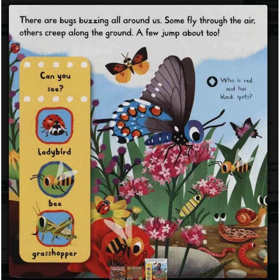 Brilliant Bugs Story Sack with Lanka Kade Wooden Bugs