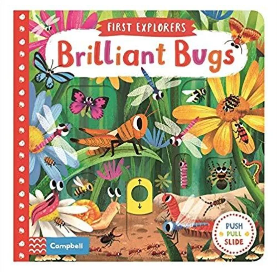 Brilliant Bugs Story Sack with Lanka Kade Wooden Bugs