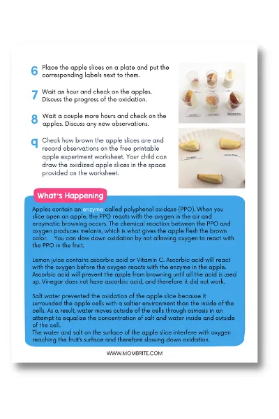 Brilliant Kitchen Science Experiments for Kids