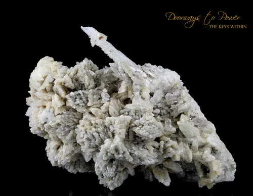 Danburite Druzy Crystal Specimen 'Angels Wing'