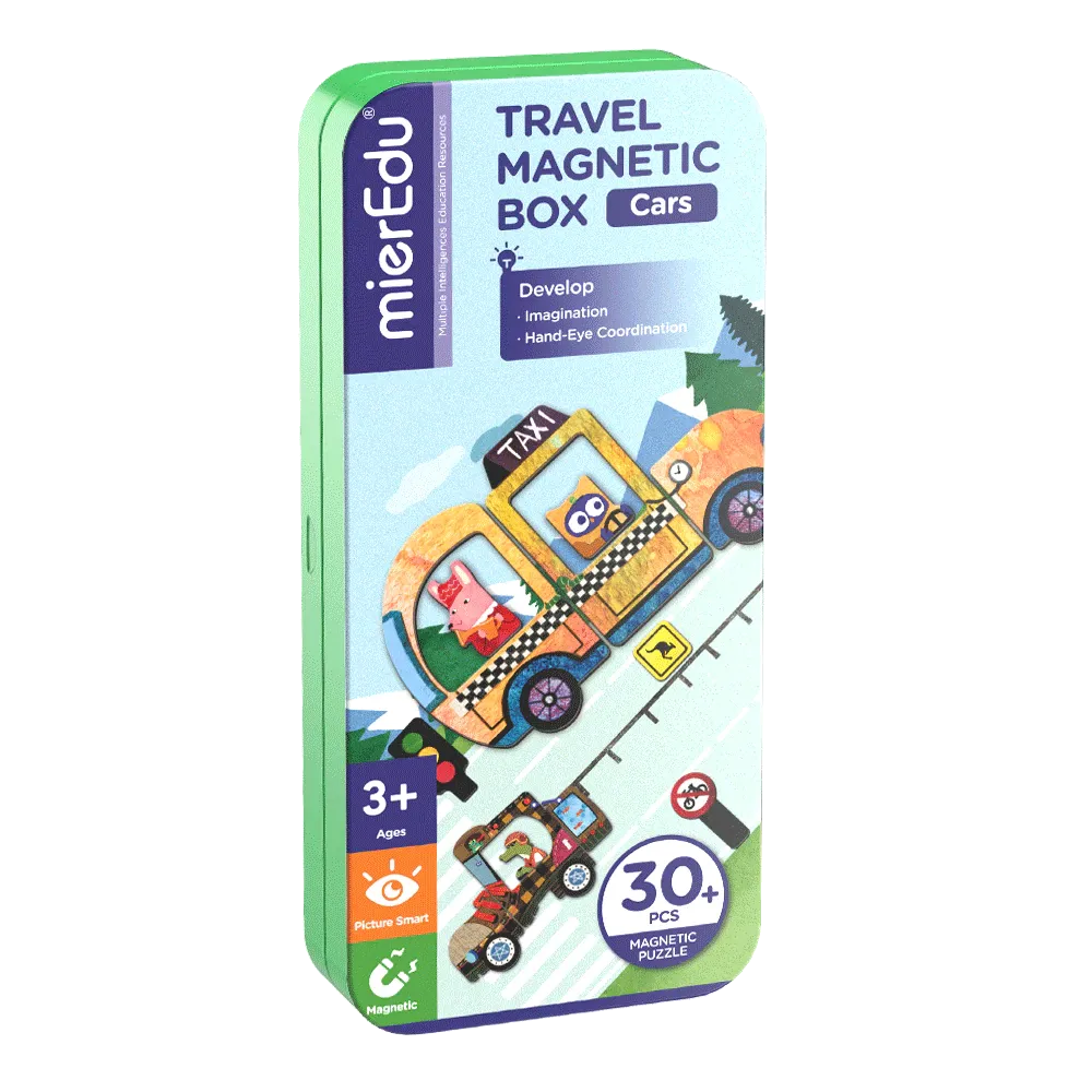 Travel Magnetic Box - assorted
