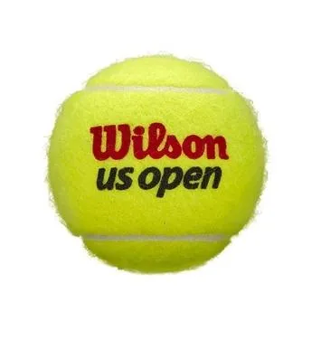 Wilson US Open Regular Duty for Clay Court and Indoor Surfaces Tennis Balls Case - 24 of 3 Ball Cans (72 balls)